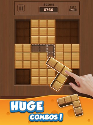 Wood Puzzle 3D Image