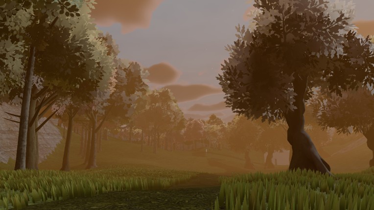 Birds Watching Image