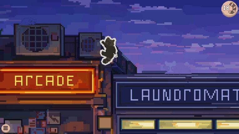 Hidden Raccoons screenshot
