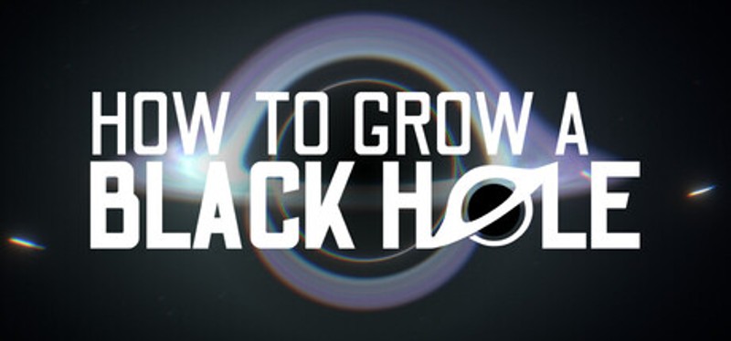 How To Grow a Black Hole Image