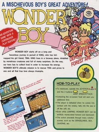 Wonder Boy Game Cover