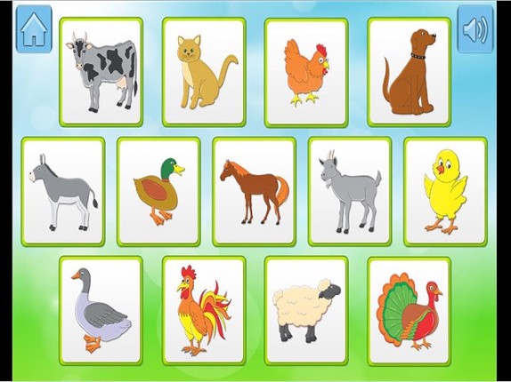 Animals-Kids Learning Memory Image