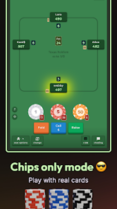 Poker 4 Friends: Chips of Fury Image