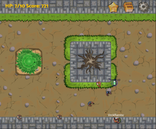 Survivor Arena Image