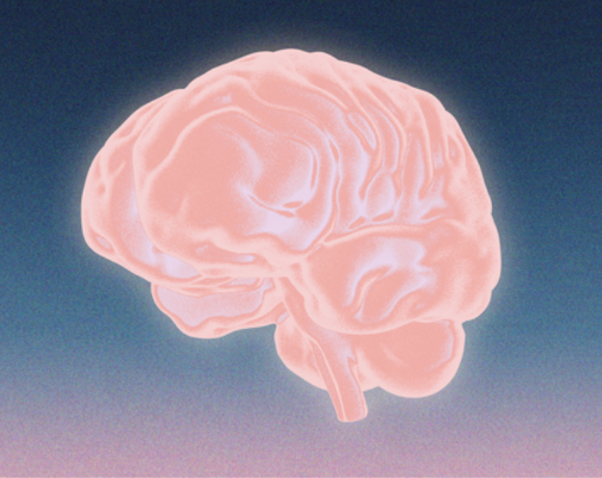 I Forget to Avoid Image