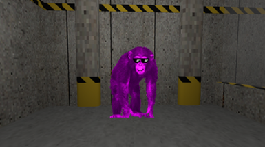 My New Boss Is A Purple Chimpanzee Image