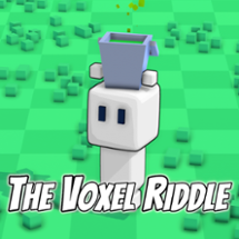 The Voxel Riddle Image