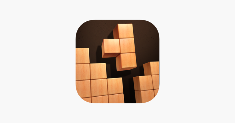 Wood Puzzle 3D Image