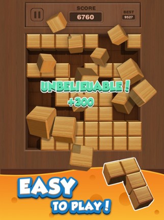 Wood Puzzle 3D Image