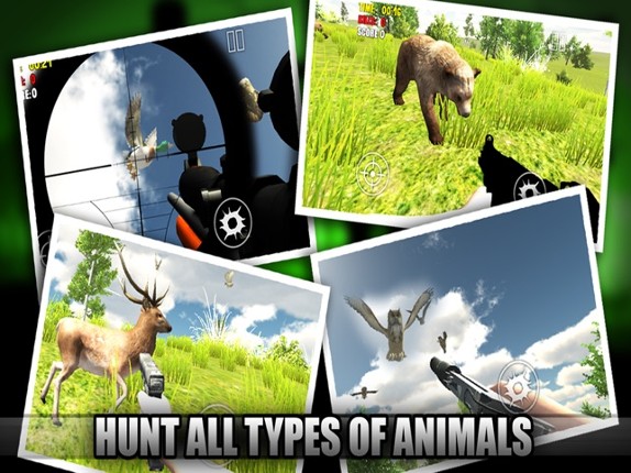 Ace Bird Sniper 2014 - Hunting Birds &amp; Animals, Adult Simulator Hunter Games Image