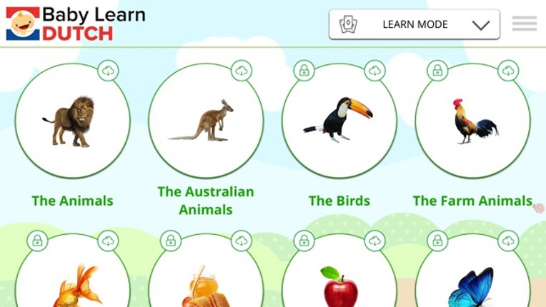 Baby Learn - DUTCH Image