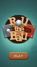 Roll the Ball® - slide puzzle Image