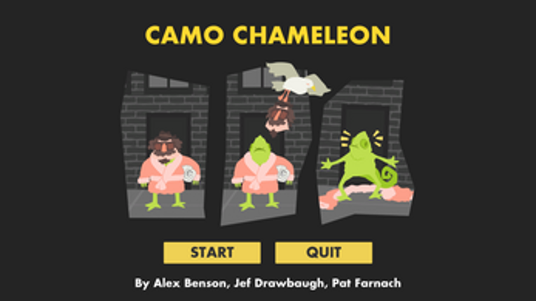Camo Chameleon Image