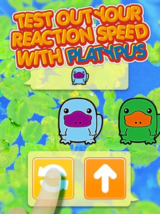 Platypus Dojo - Best Animals Pocket Games Play After School ( Fun For All Class Student ) screenshot