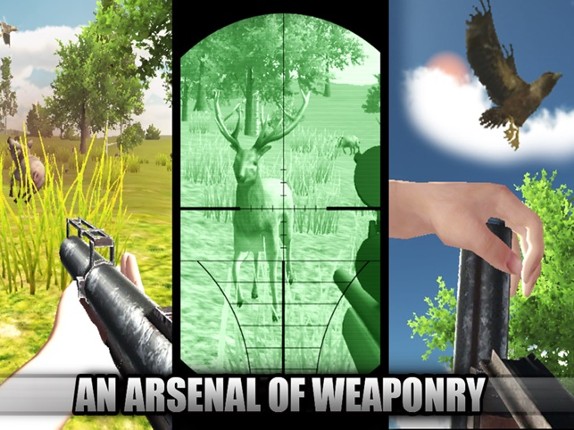 Ace Bird Sniper 2014 - Hunting Birds &amp; Animals, Adult Simulator Hunter Games Image
