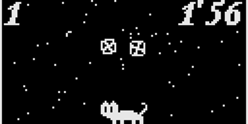 Chri-Bocchi Cat Image