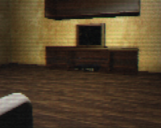 DunchWood screenshot