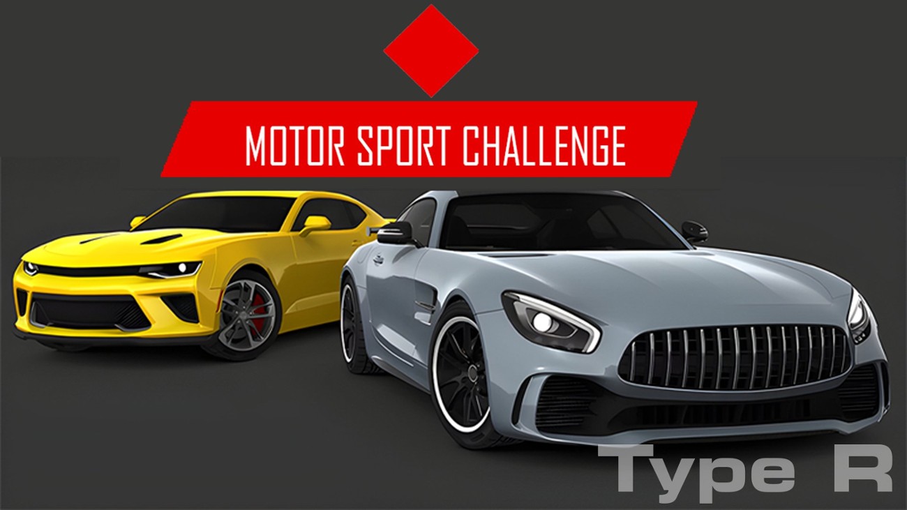 Games like Motor Sport Challenge Type R