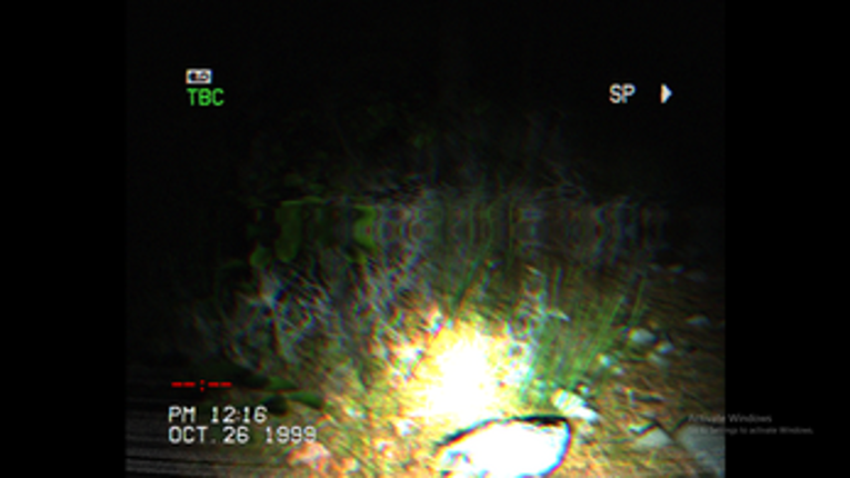 Countryside 1999 screenshot