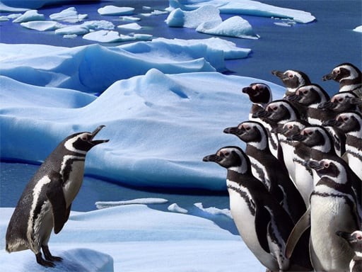 Games like Penguins Slide