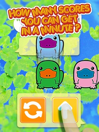 Platypus Dojo - Best Animals Pocket Games Play After School ( Fun For All Class Student ) screenshot