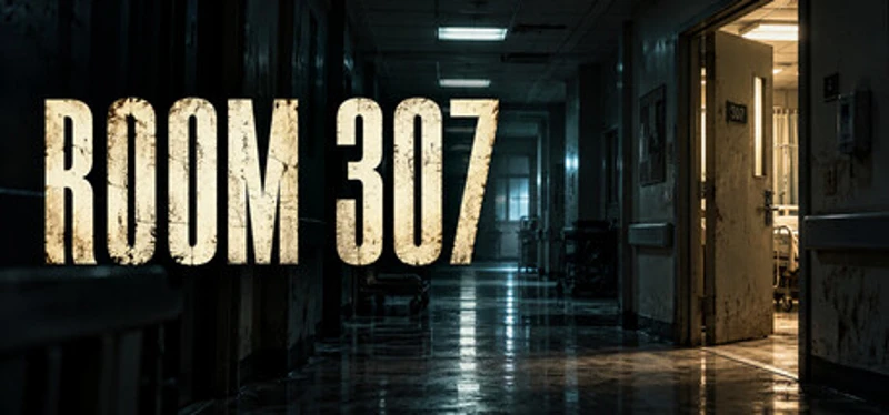ROOM 307 Image
