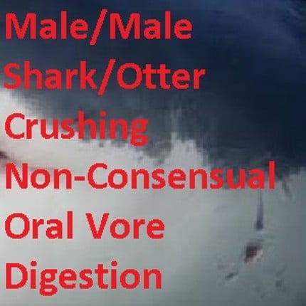 Shoreline Shark Image
