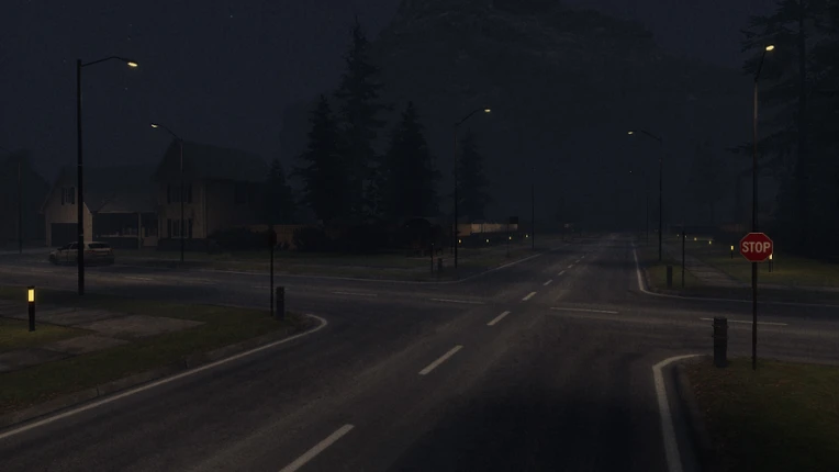 Sleep Walk Image