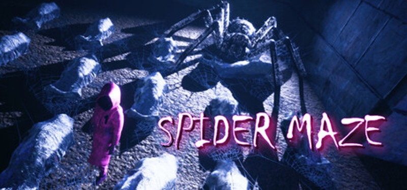 Spider Maze Image
