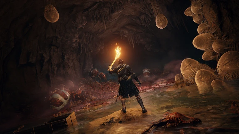 ELDEN RING PS4 & PS5 Image