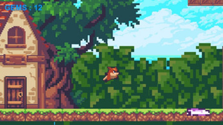 Super Fox screenshot