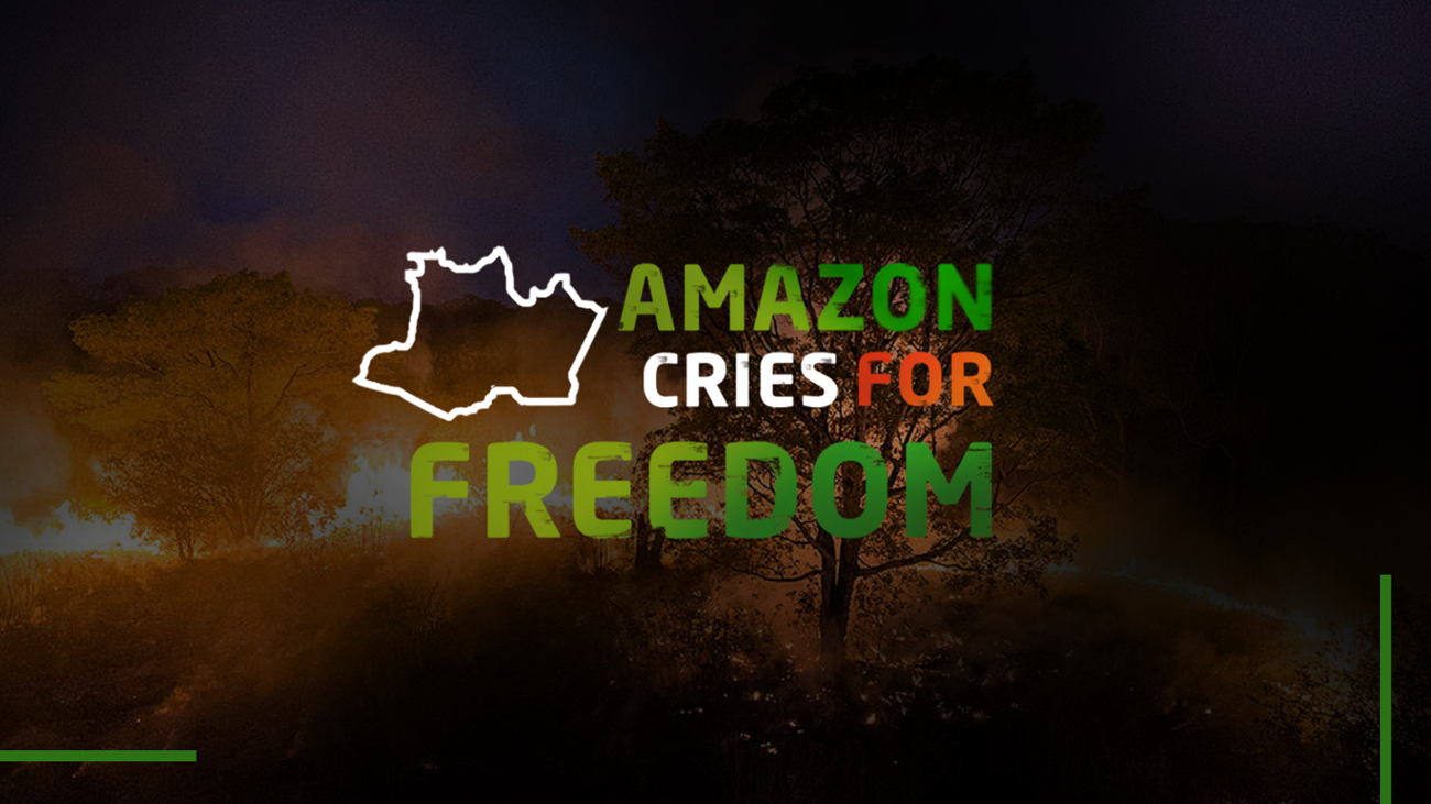 Games like Amazon Cries for Freedom
