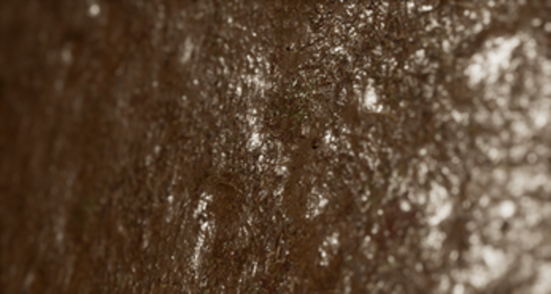 Insane Realism Image