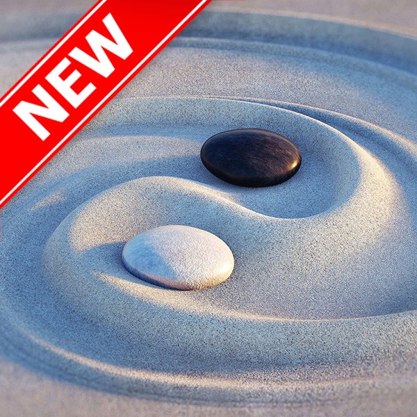 Games like Intuition Categories AutoResult Land