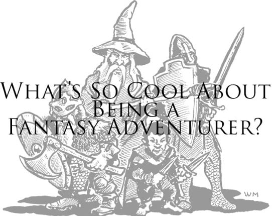 What's So Cool About Being a Fantasy Adventurer? Image