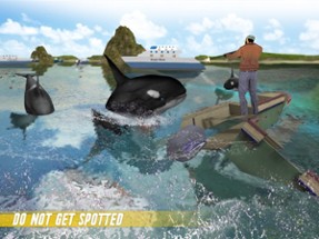 Angry Shark Attack : Sim 2018 Image