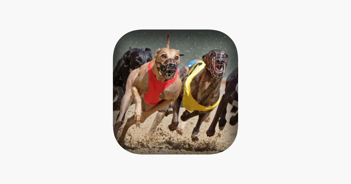 Games like Dog Racing