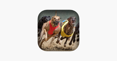 Dog Racing Image