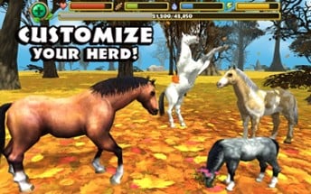 Wild Horse Simulator Image