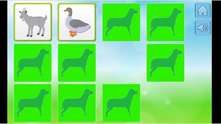 Animals-Kids Learning Memory Image