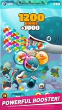 Bubble Shark &amp; Friends Image