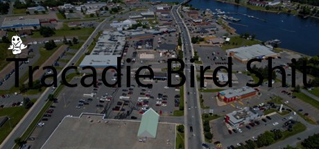 Games like Tracadie Bird Shit