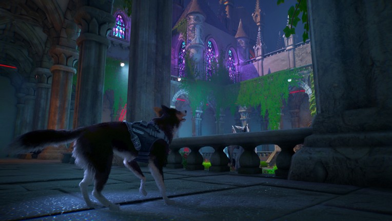 Barkour screenshot