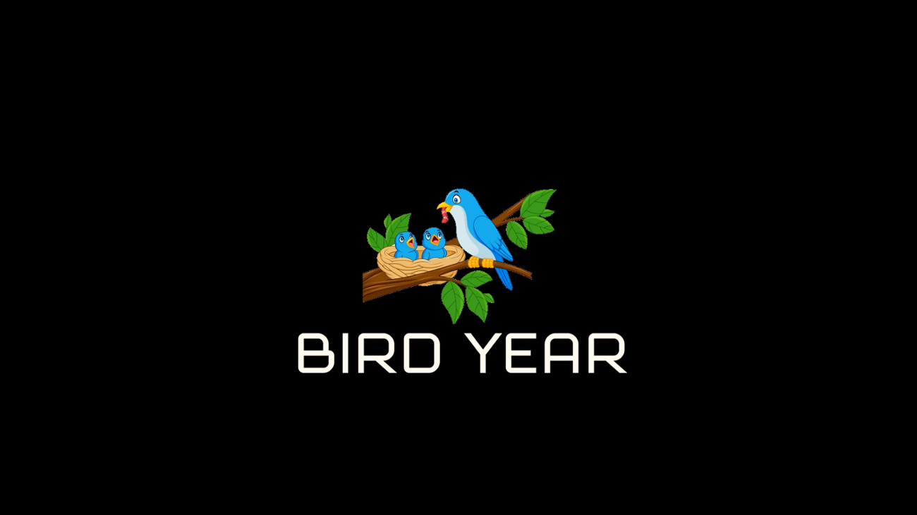 Games like Bird Year