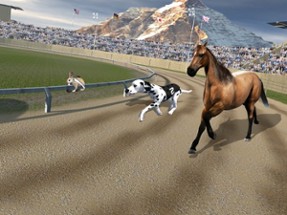 Crazy Dog Racing -Dog Games Image