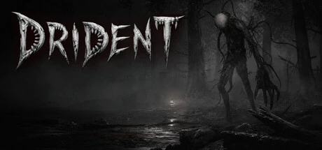 Games like Drident