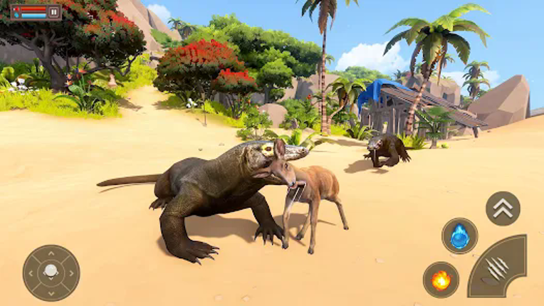Komodo Dragon : Dragon Games Image