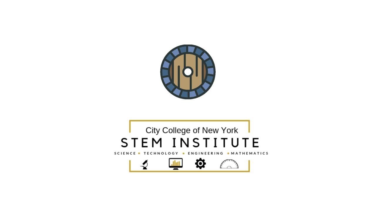 Games like STEM Institute at CCNY 2024 Summer Semester