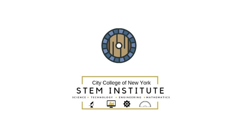 STEM Institute at CCNY 2024 Summer Semester Game Cover