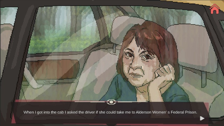 Witness To Mass Incarceration screenshot